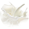 Circle Image of Milky Musks